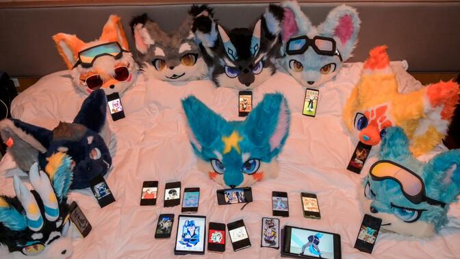 奇妙毛毛兽/-哔哩哔哩_bilibili