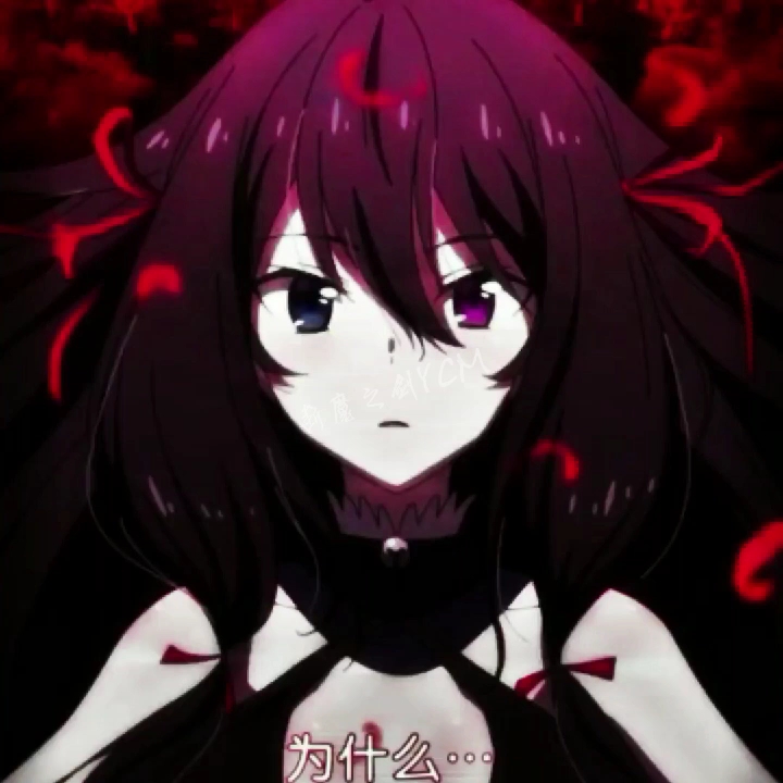 帅帅哒夜架!切姬夜架