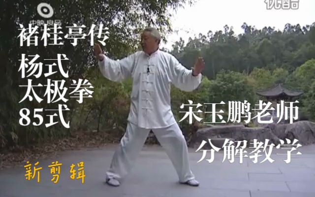 宋玉鹏老师褚桂亭传杨式太极拳85式.分解教学[▲rz剪辑版]哔哩哔哩bilibili