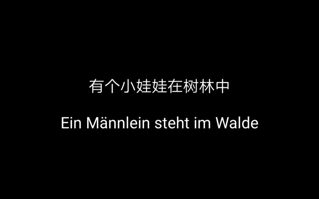 [图]德国儿歌《有个小娃娃在树林中》Ein Männlein steht im Walde 中德字幕