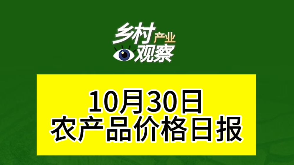 10月30日农产品价格日报来啦~哔哩哔哩bilibili