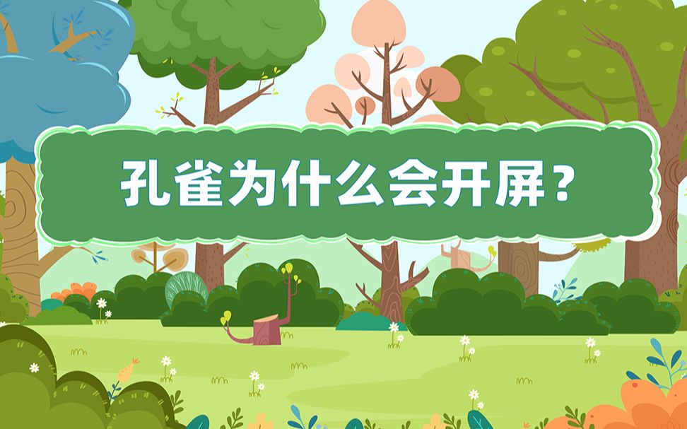 孔雀为什么会开屏呢?哔哩哔哩bilibili