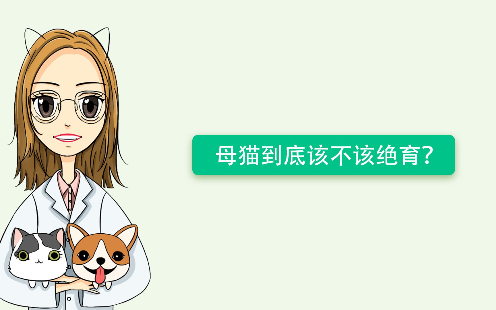 母猫到底该不该绝育?哔哩哔哩bilibili