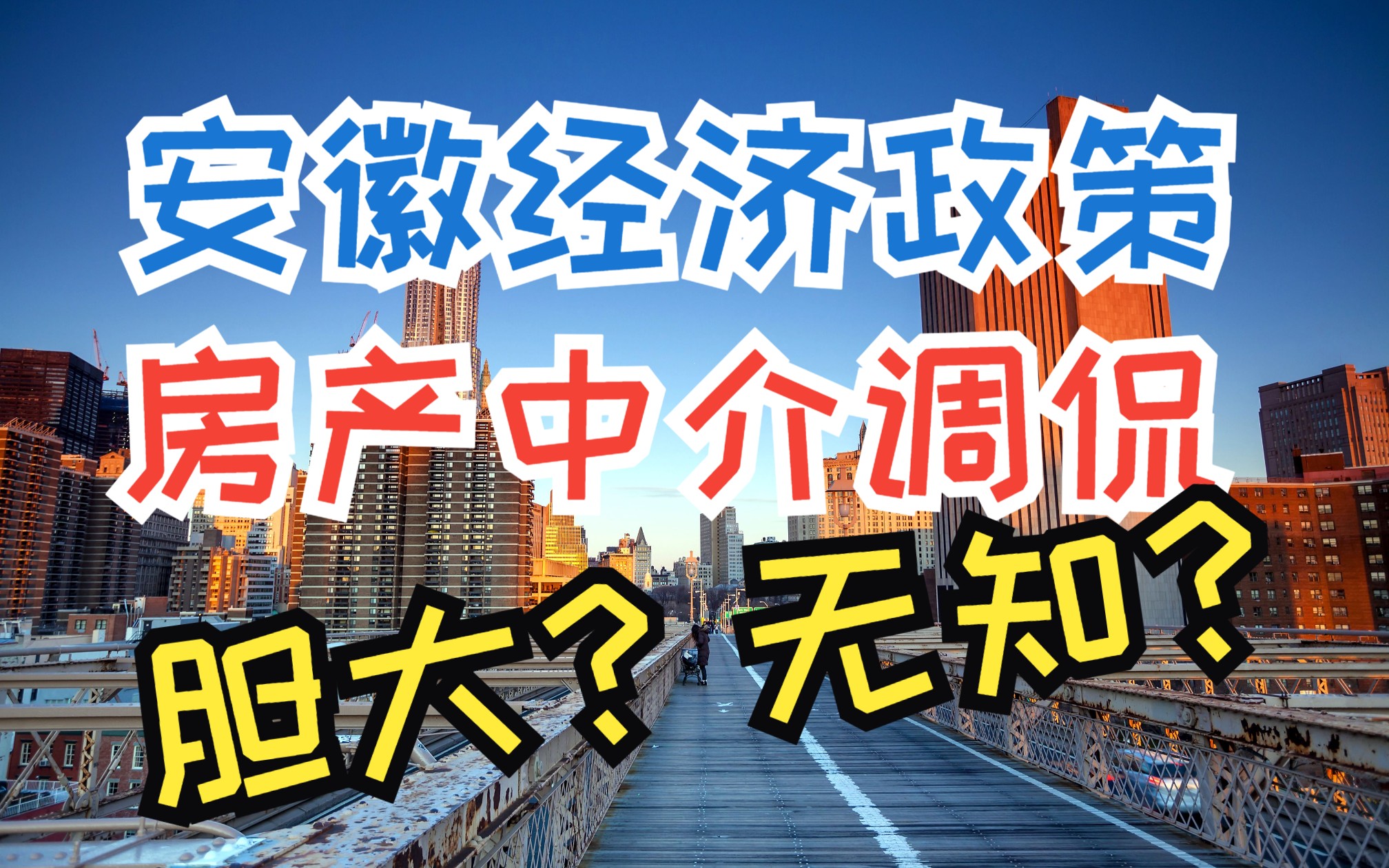 安徽市政府制定政策的层次还不如你这个房产中介吗?哔哩哔哩bilibili