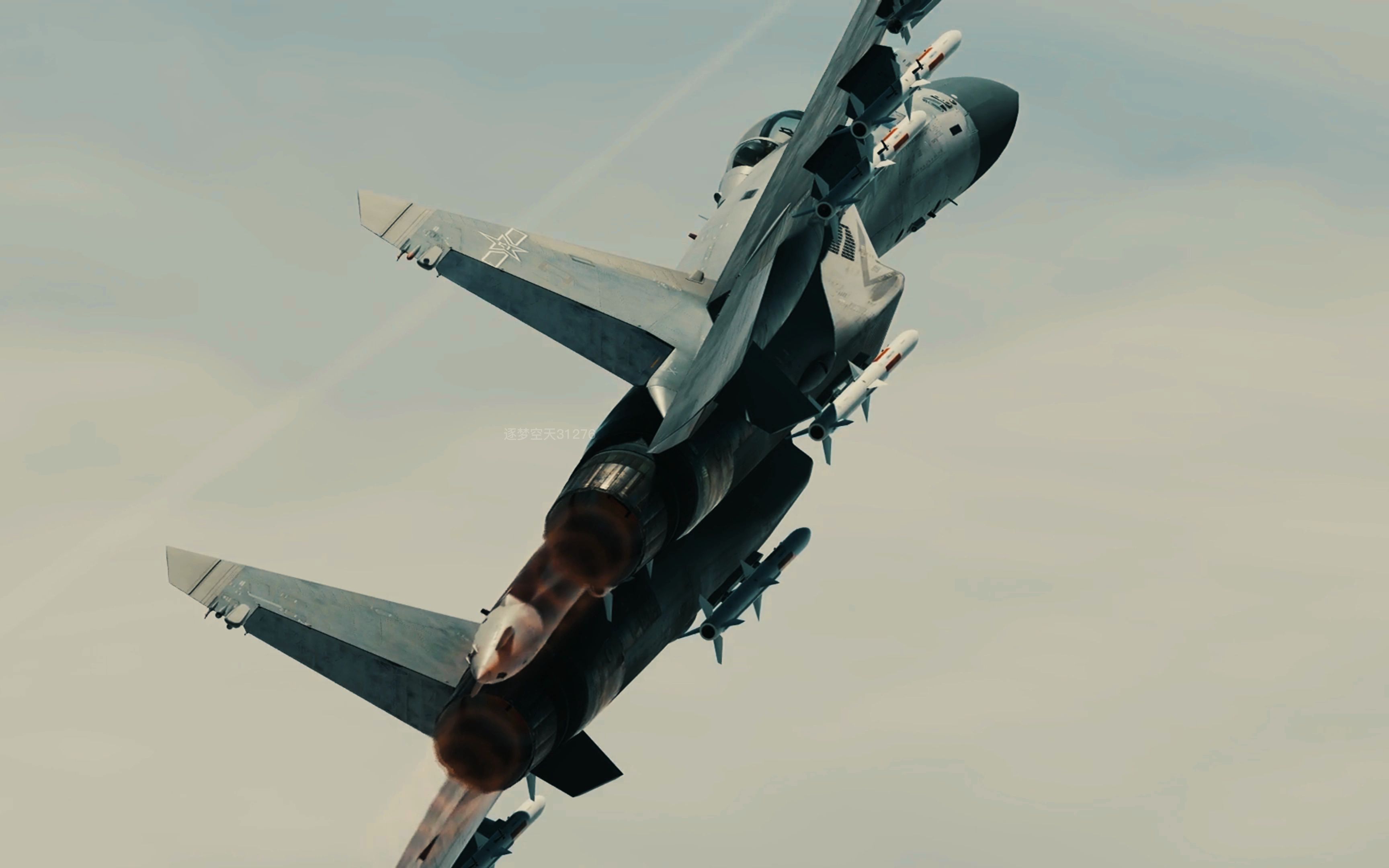 歼11d,低可视化涂装实在太帅了