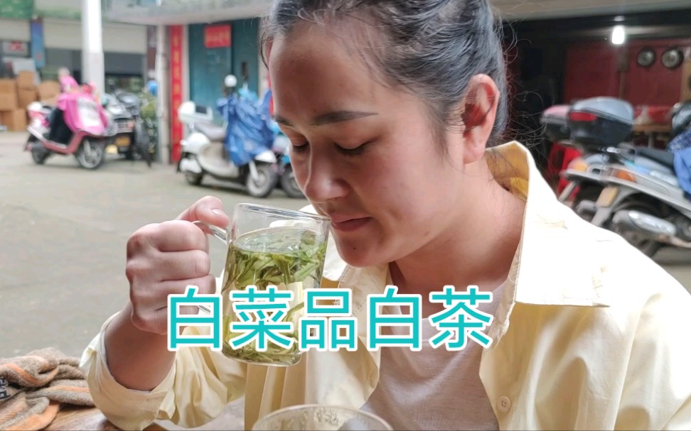 白菜品白茶,看茶有时候真的很简单!哔哩哔哩bilibili