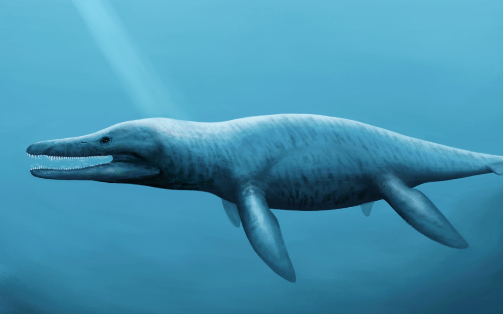 指绘——凯万上龙复原图