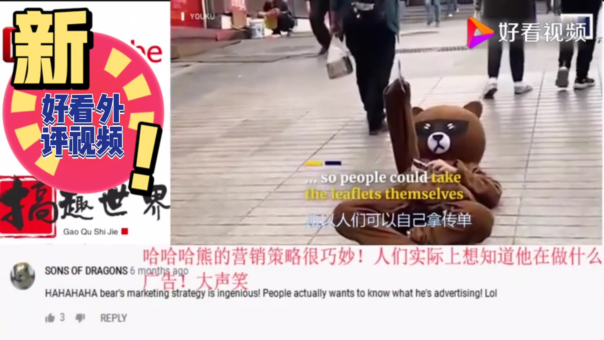 中国网红熊发传单的视频走红网络,看看国外网友的搞笑评论