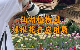 Download Video: 仙湖植物园作为植物界的天花板，它的花展从未让人失望过！