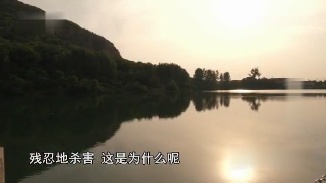 [图]湖底沉冤（凶案）