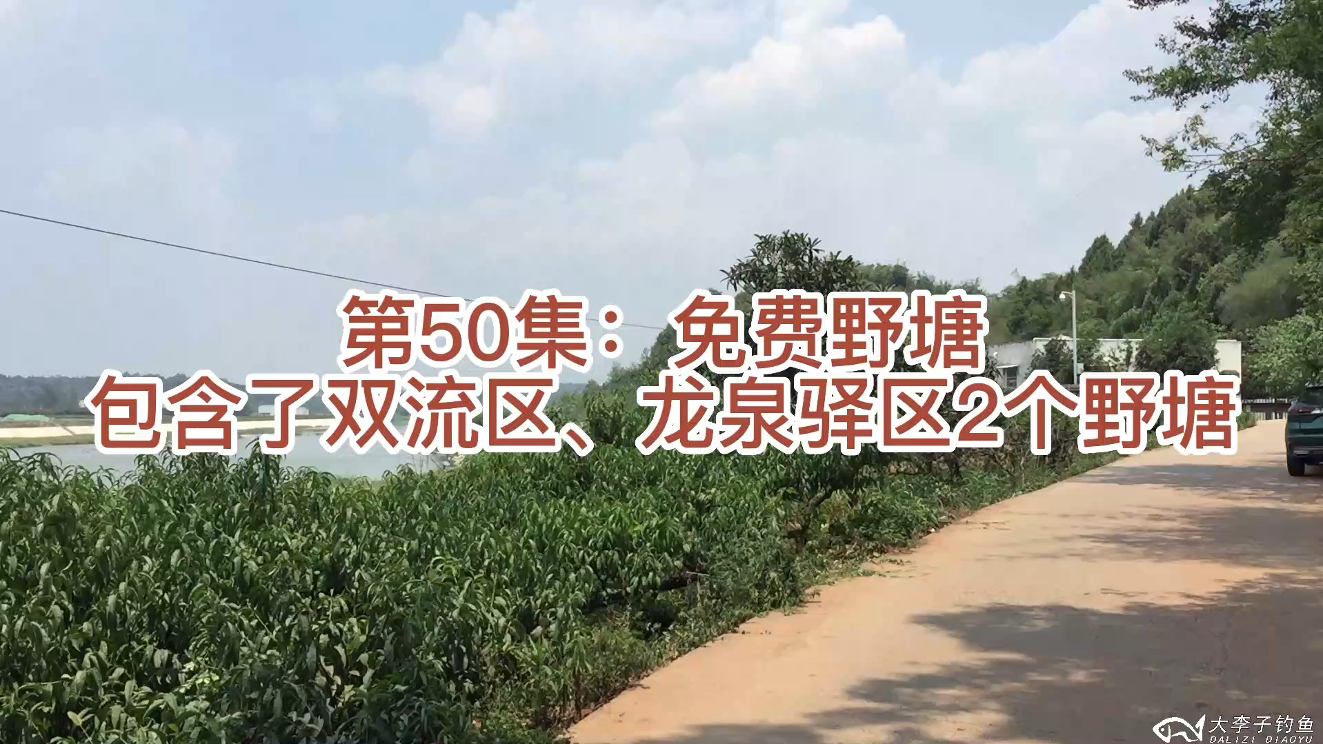 第50集:成都青白江、双流免费野塘哔哩哔哩bilibili