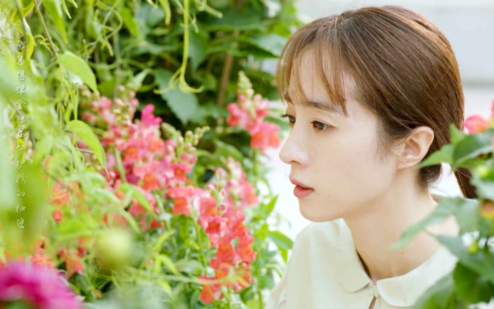 【暗恋橘生淮南1080p】盛淮南×洛枳 /胡一天×胡冰卿 cut1-12_哔哩