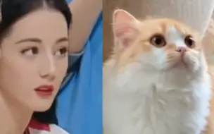 Скачать видео: 迪丽热巴是小猫的证据！！！