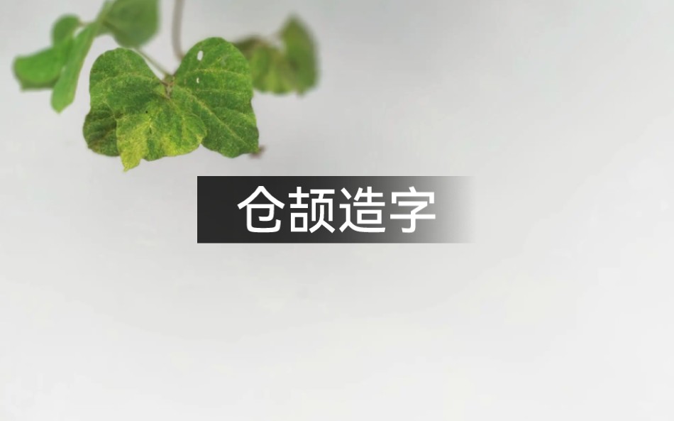 仓颉造字 鬼神为什么哭泣?哔哩哔哩bilibili