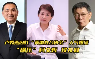 Download Video: 卢秀燕因杠“美国在台协会”人气爆涨，“碾压”柯文哲、侯友宜