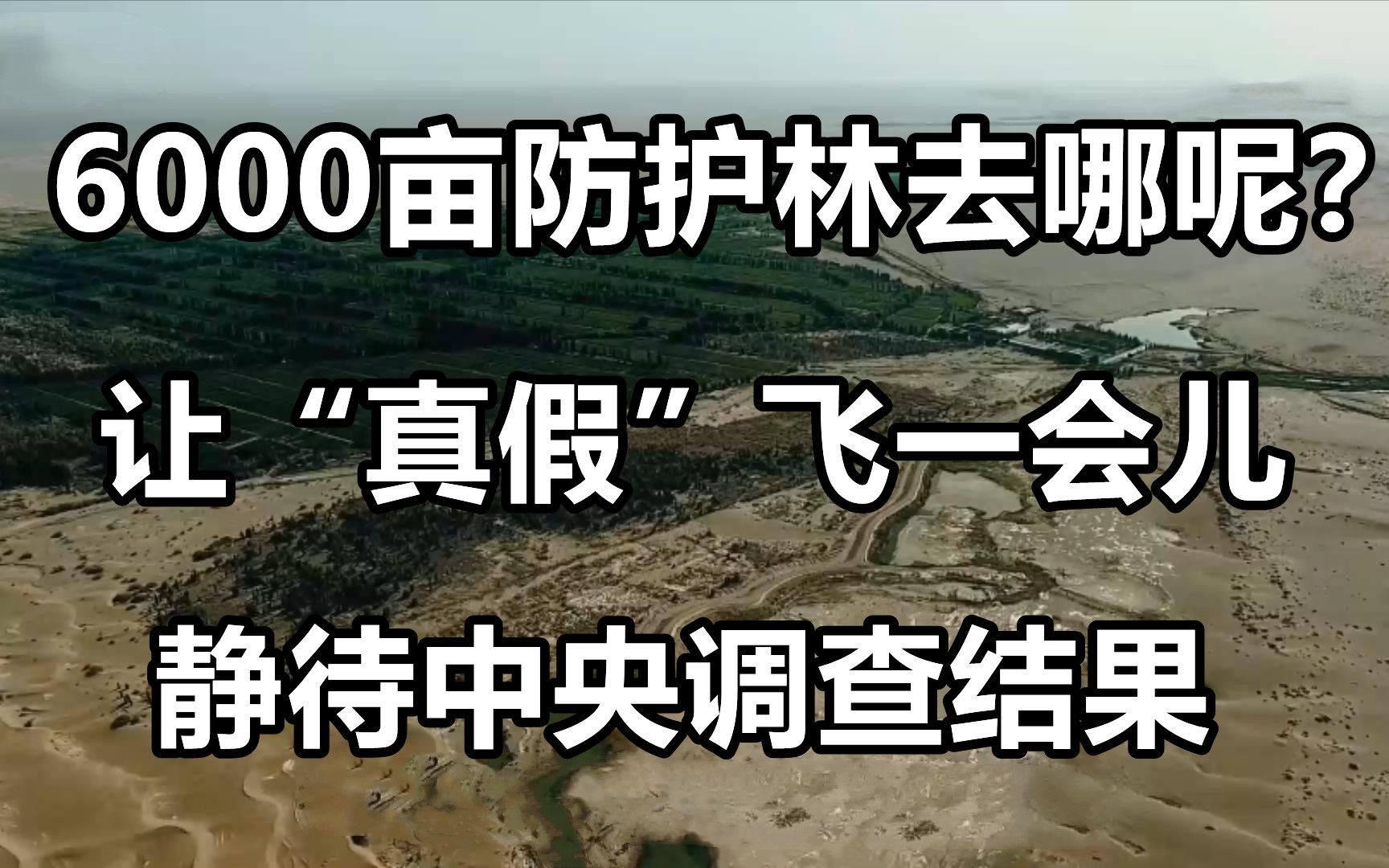两次反转,让"真假"飞一会,敦煌阳关林场6000亩防护林去哪了?