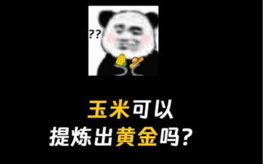 玉米黄金大揭秘:你错过了多少宝藏?哔哩哔哩bilibili