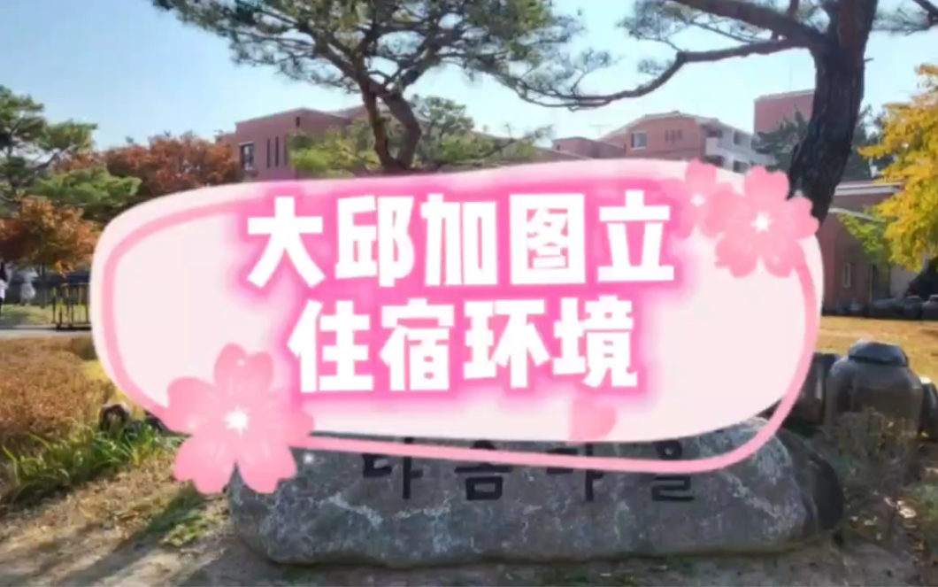 大邱加图立大学宿舍合集