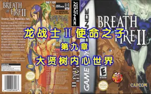 Video herunterladen: GBA《龙战士2：使命之子》流程解说09大贤树内心世界