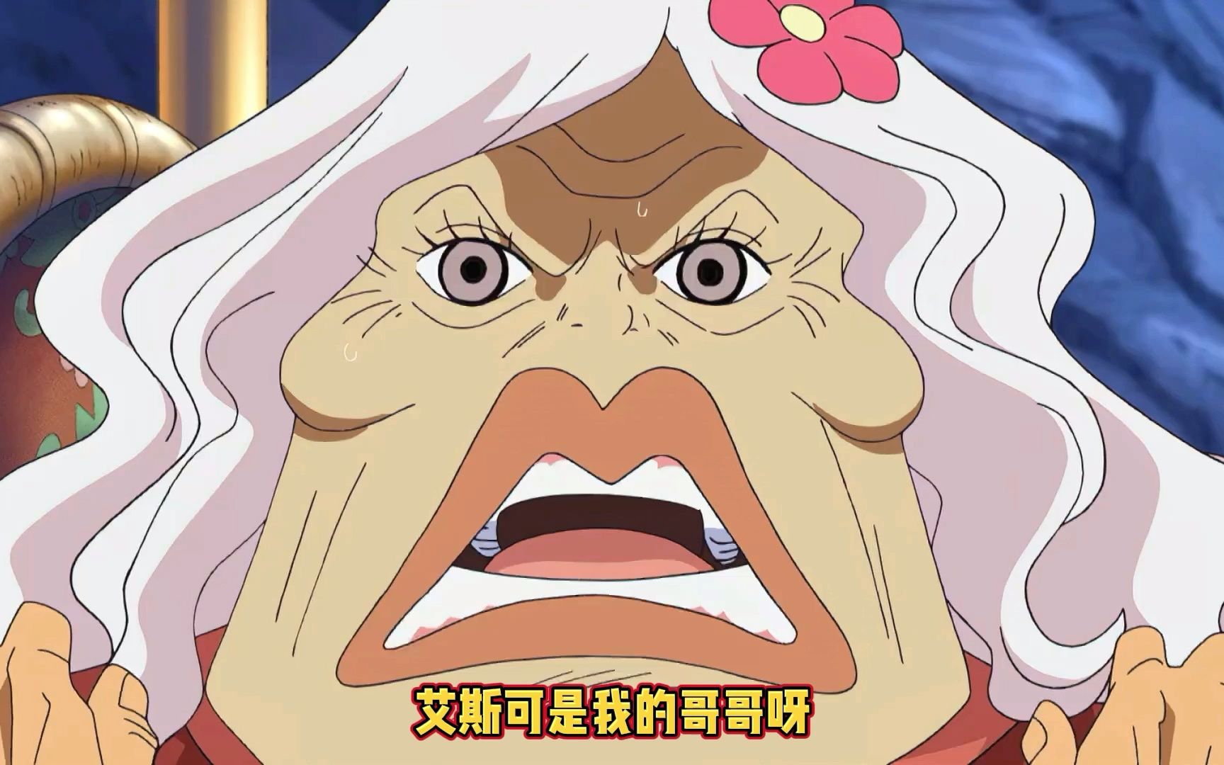 海贼王319 九蛇岛7