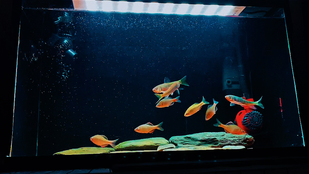 我88年,靠自己做生意,奔驰g600, 一千多万存款,市区别墅900万.