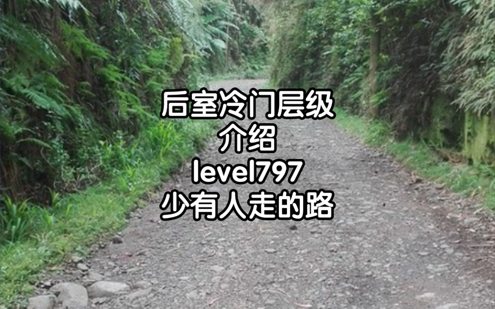 [图]后室冷门层级介绍level797少有人走的路