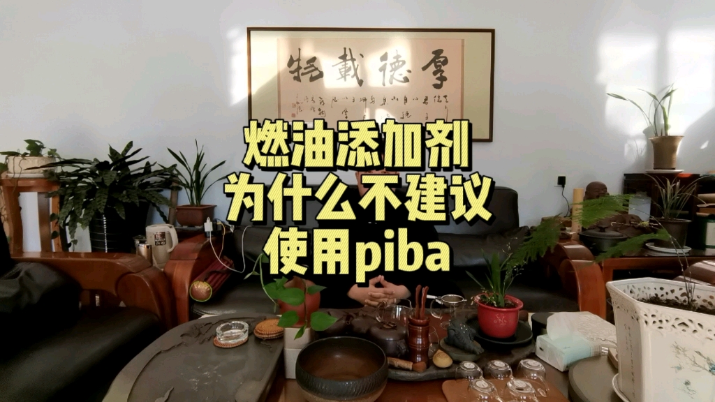 piba使用在电喷车上的确效果不错,不过权衡利弊之下,纯pea的模式其实更值得推荐哔哩哔哩bilibili