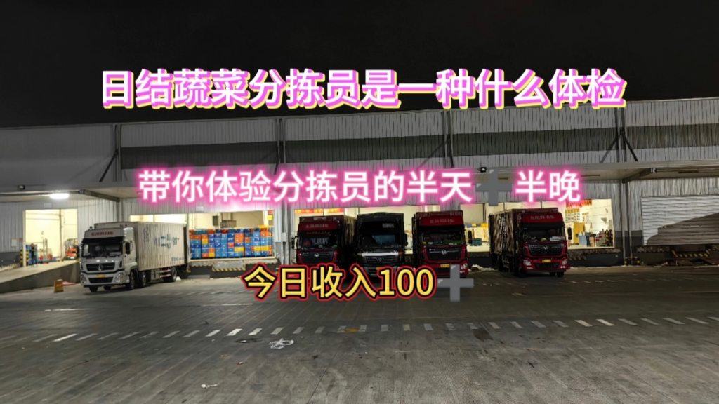 深入体验郑州蔬菜分拣员的一天,开宝箱美滋滋 日结日结 日结哔哩哔哩bilibili