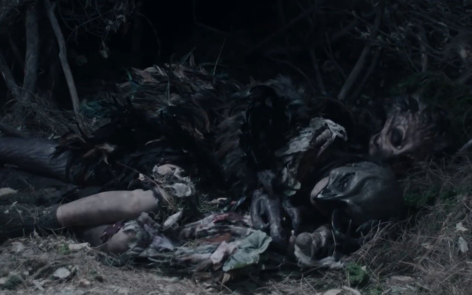 恐怖片《鸟人》:漂亮女人怀孕后被怪物抓进洞穴,从此悲剧了