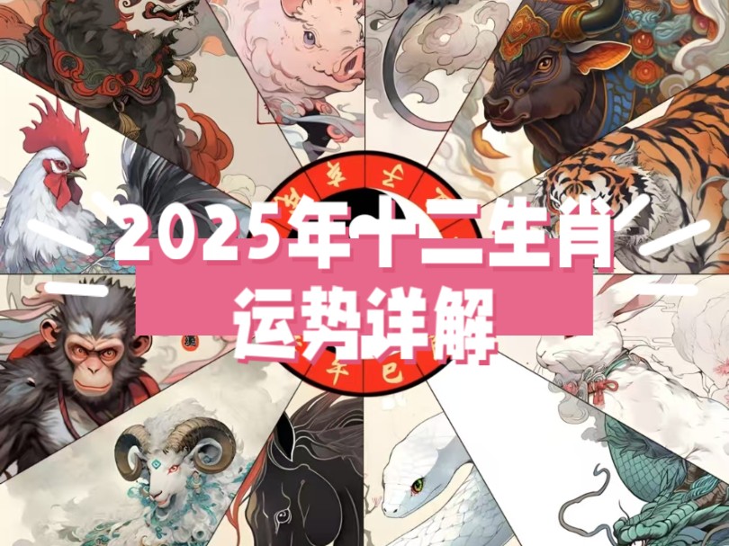 【猫meme】2025十二生肖运势出炉!看你今年运势如何哔哩哔哩bilibili