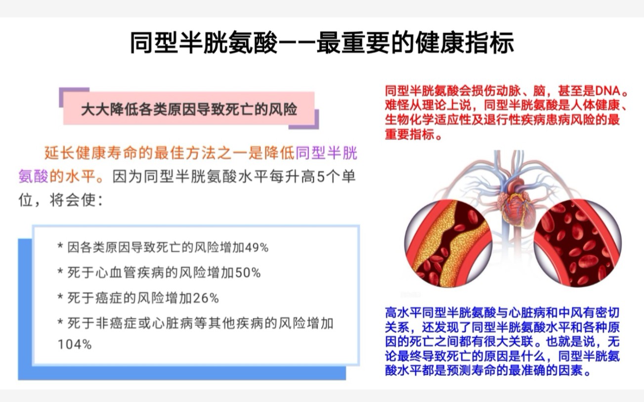 基因科学家王敬强博士讲正确认识和改善高血同哔哩哔哩bilibili