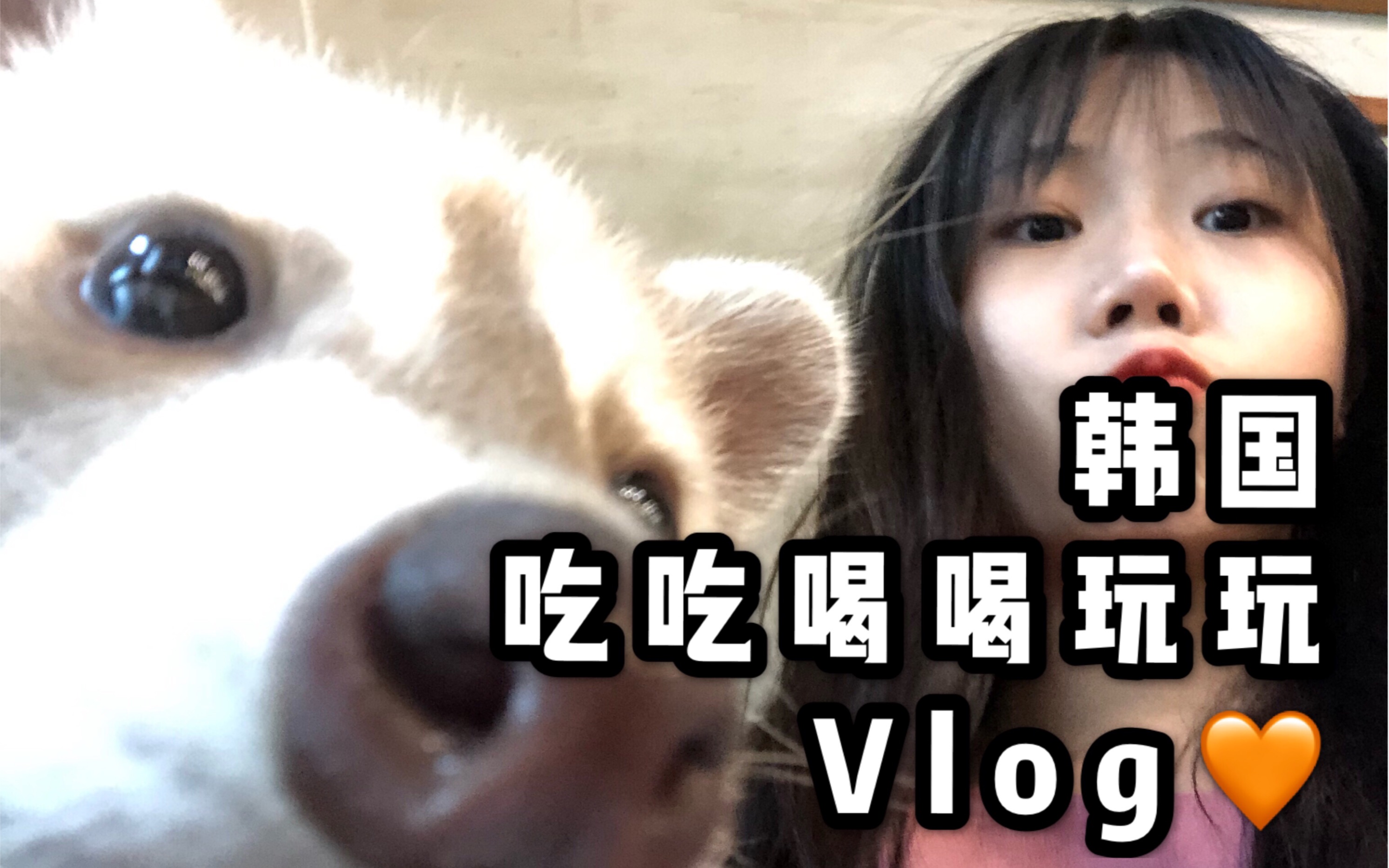 和我一起在首尔吃吃喝喝玩玩吧!【Vlog】哔哩哔哩bilibili