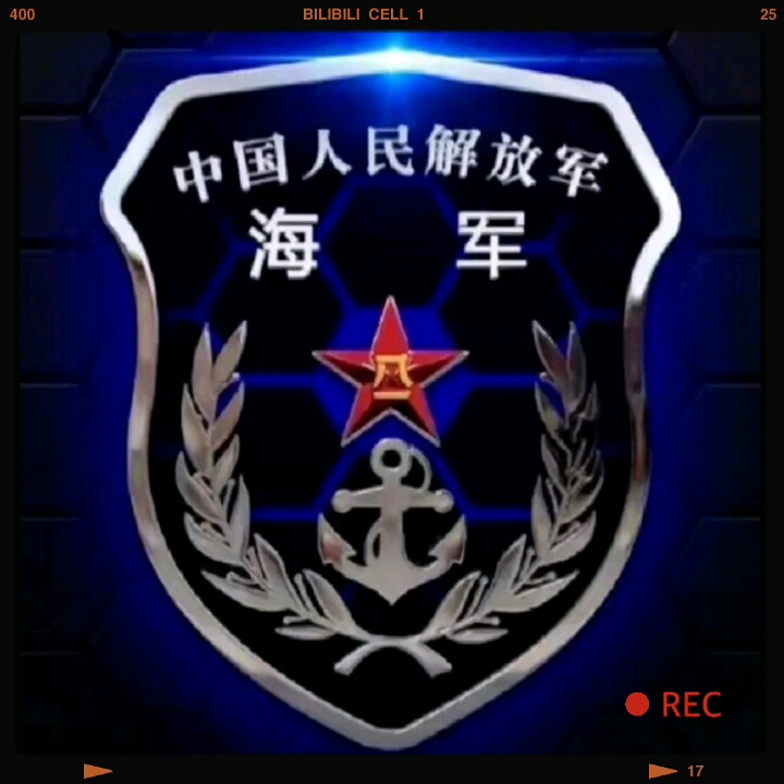 看看這,解放軍海軍軍徽