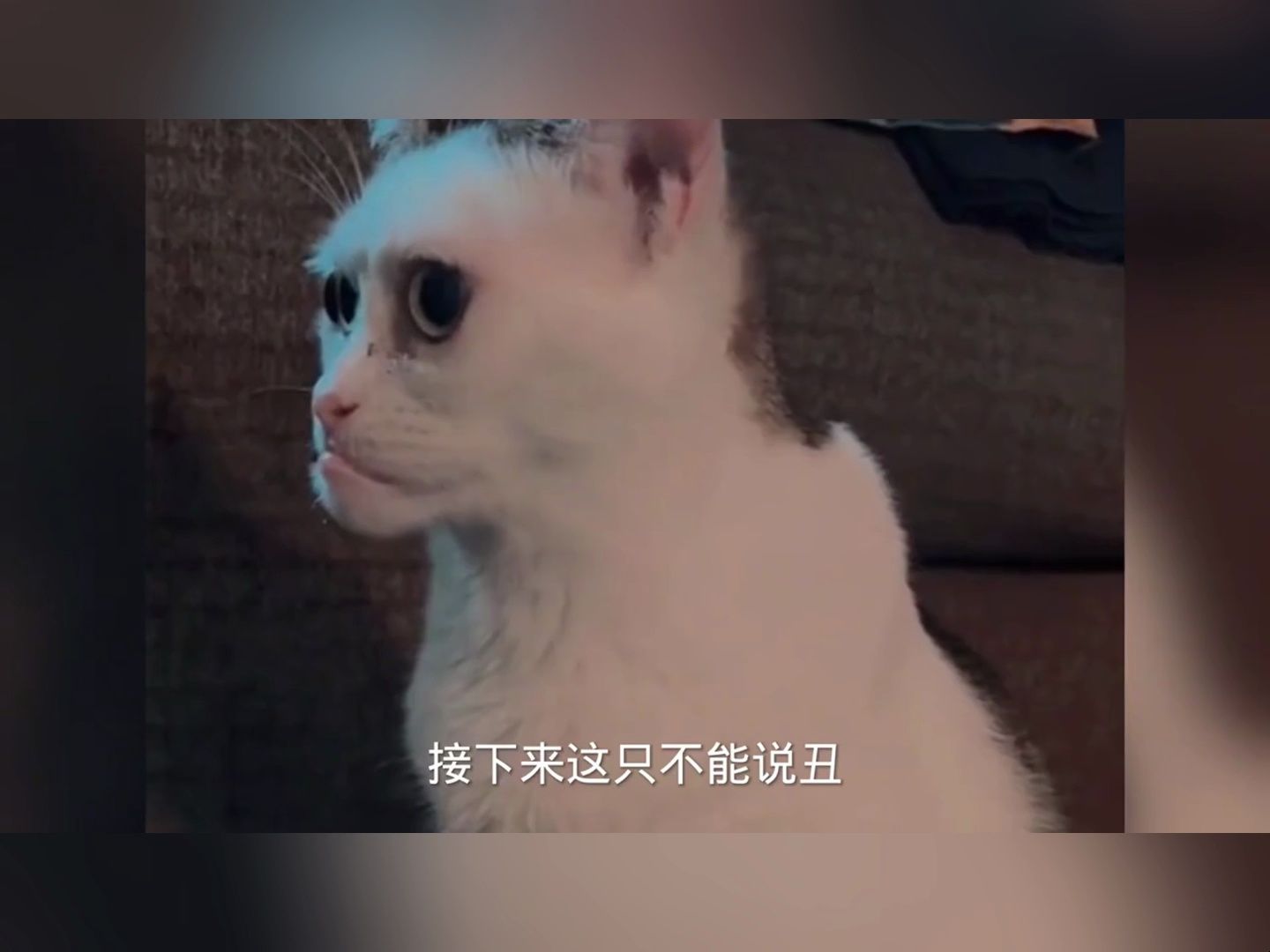 笑得肚子疼的搞笑视频合集!!!哔哩哔哩bilibili