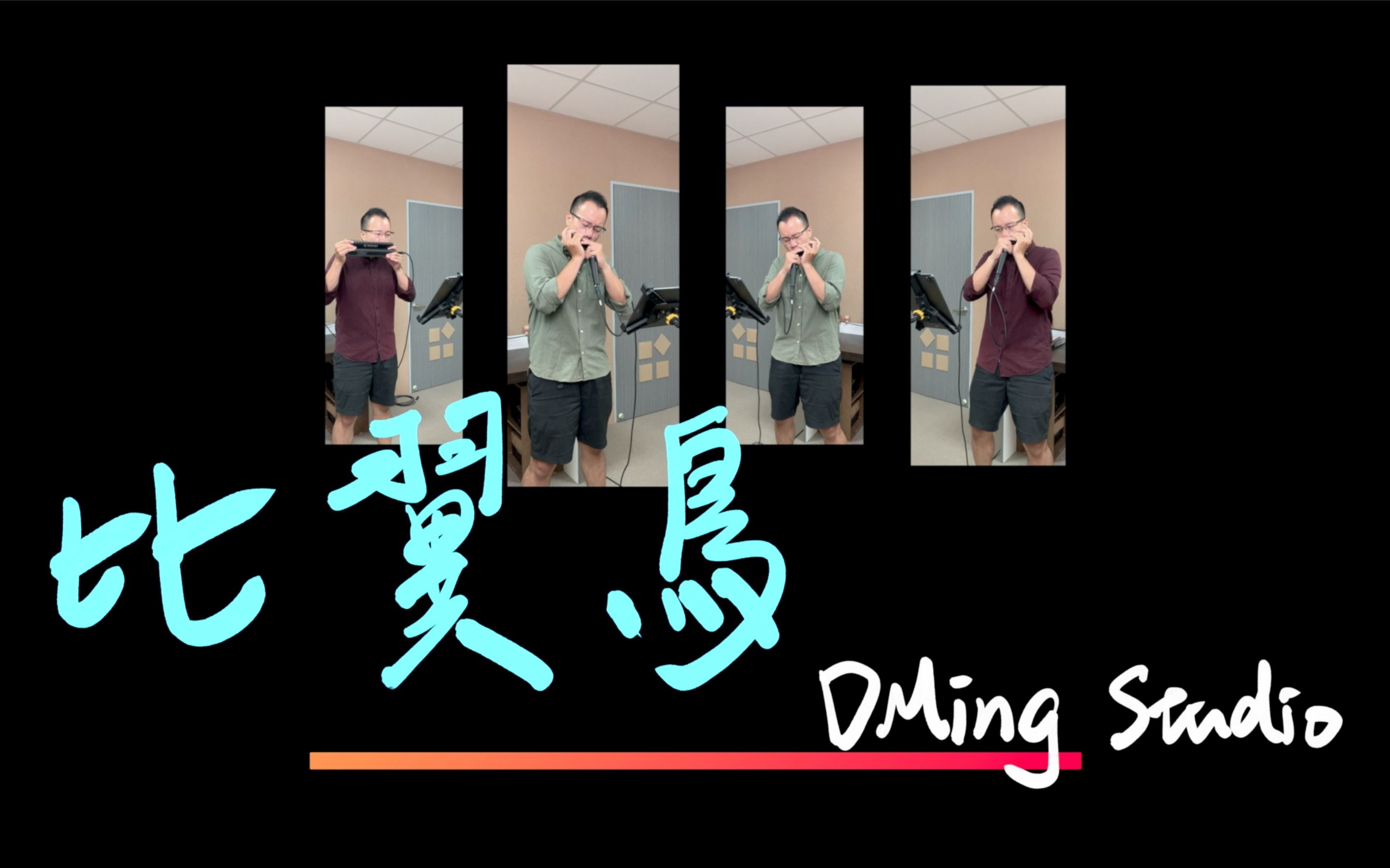 比翼鸟  Harmonica Ensemble Cover [ DMing Studio ]哔哩哔哩bilibili