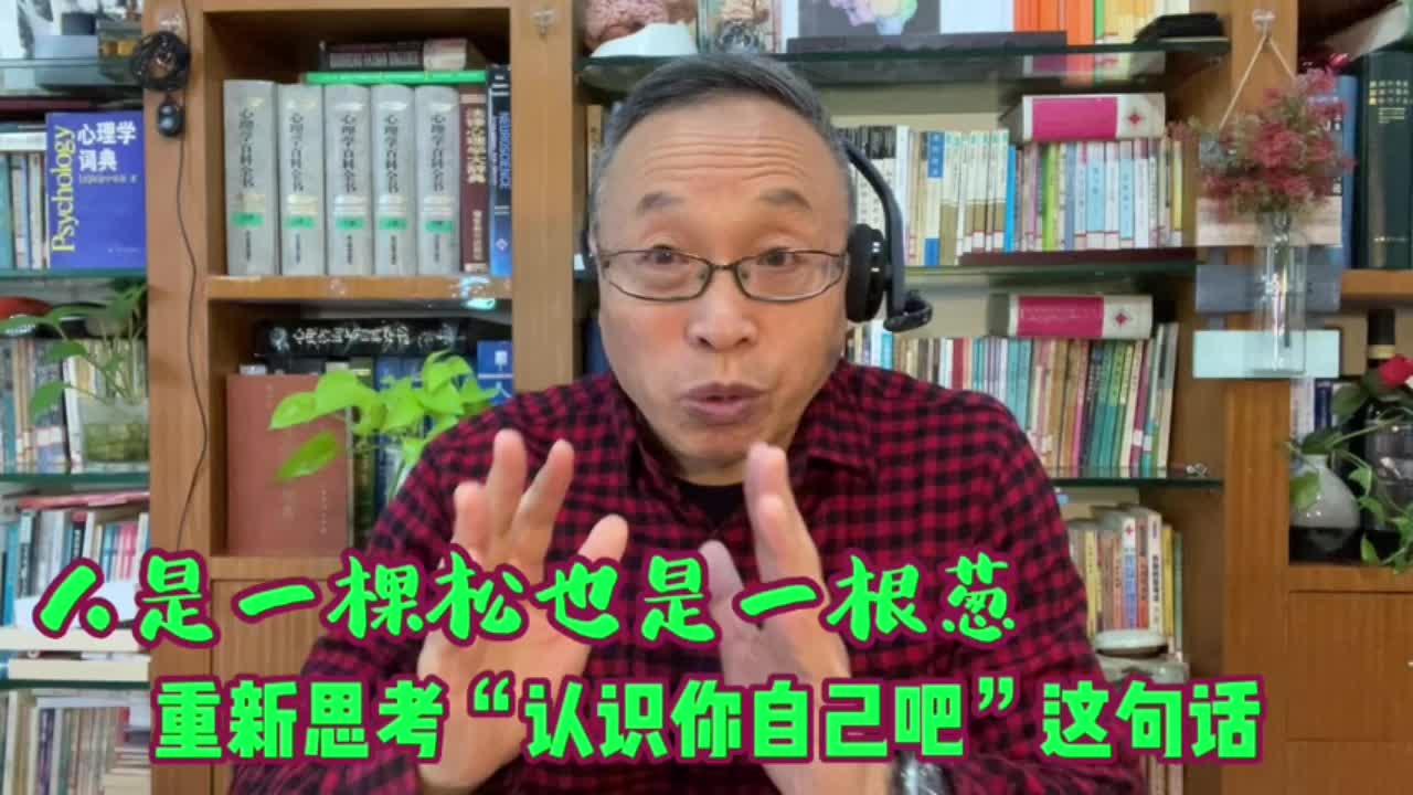 重新思考“认识你自己吧”这句话:人是一棵松还是一根葱?哔哩哔哩bilibili