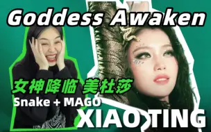 Download Video: 2023MAMA音乐盛典《Goddess Awaken》女神降临 合作舞台 沈小婷snake 美杜莎 minnie  偶像运动会国标舞表演 Reaction点评