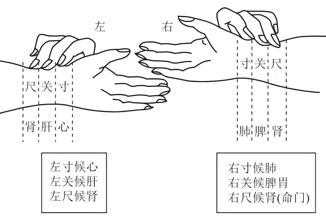 直播回放_2024-07-31本质脉法