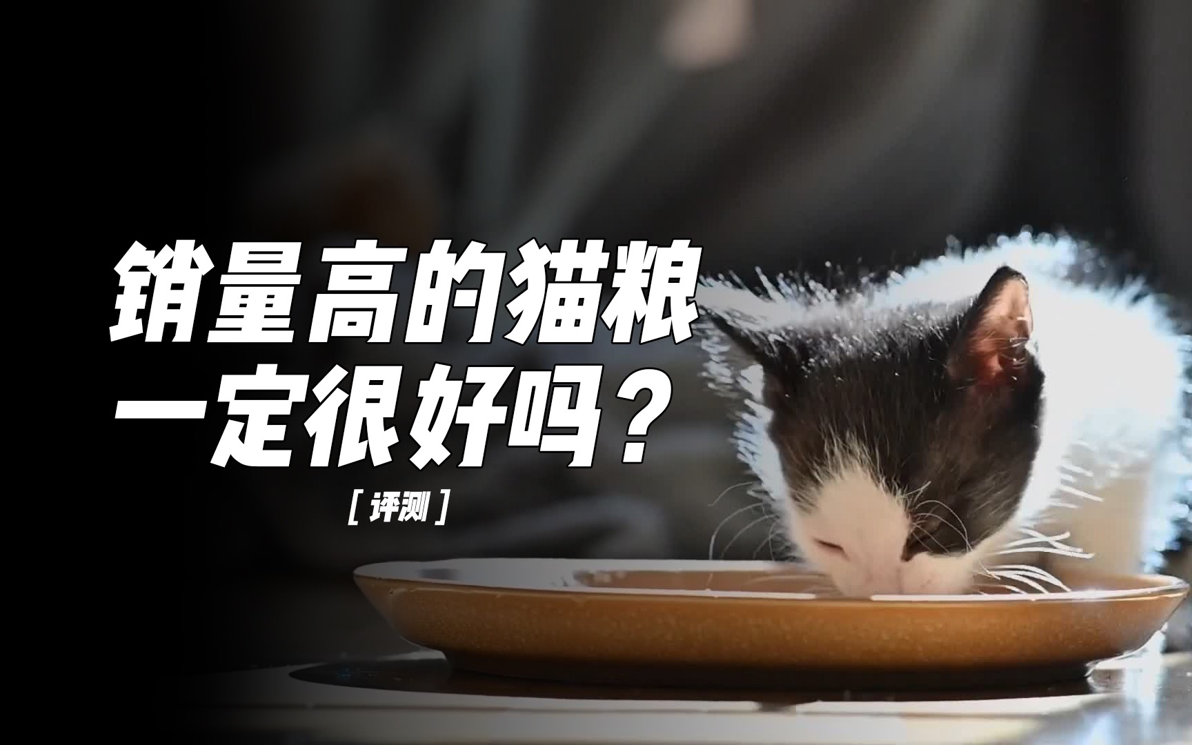 高销量的猫粮,一定是好猫粮吗?测评三款热门猫粮哔哩哔哩bilibili