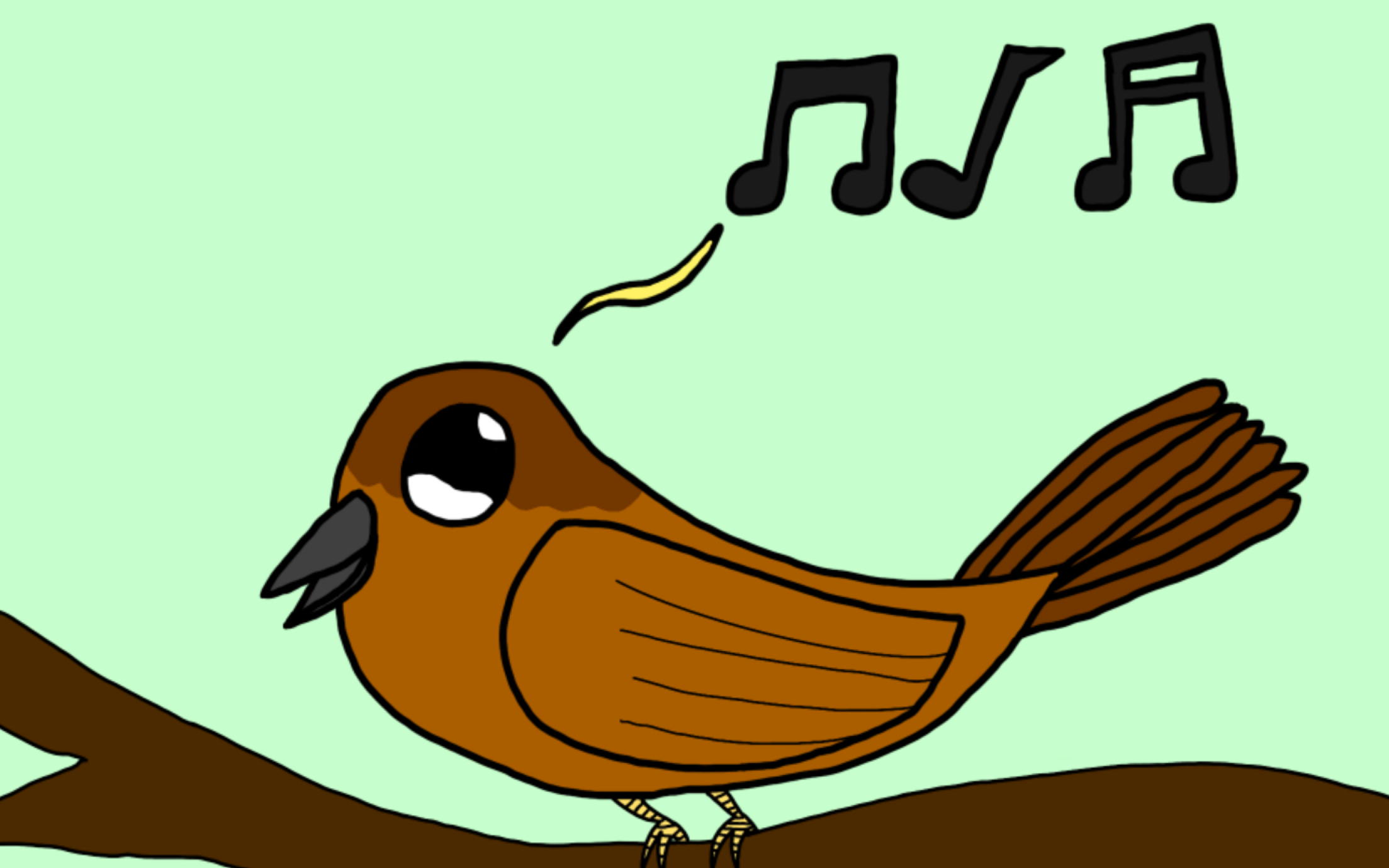 请静观珍珠鸟吃饭