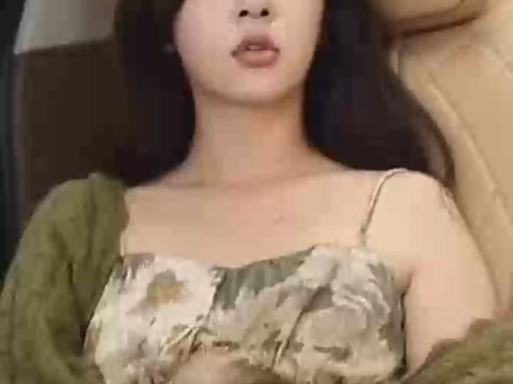 掌中雀(1～177集高清完结一口气看完)