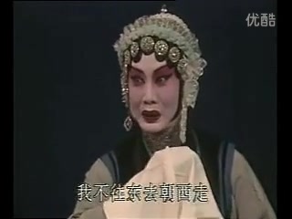 [图]评剧 【卖妙郎】 选场 李秀云 王立柱主演 天津评剧院二团演出