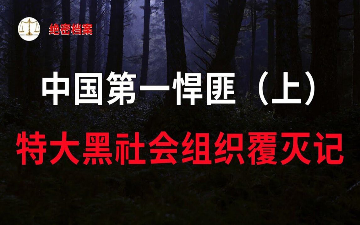 中国第一悍匪(上),特大黑社会组织覆灭纪实,十四名重刑犯全部死刑!  大案要案纪实录  绝密档案哔哩哔哩bilibili