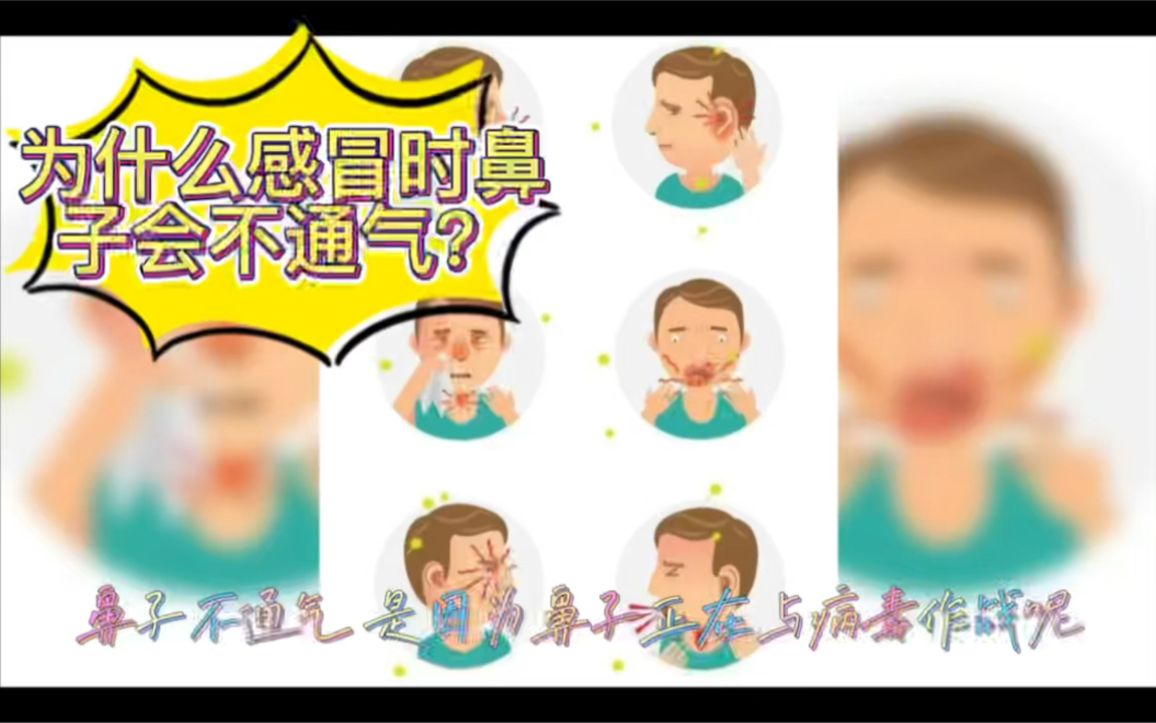 生活科普15—为什么感冒时鼻子会不通气?哔哩哔哩bilibili