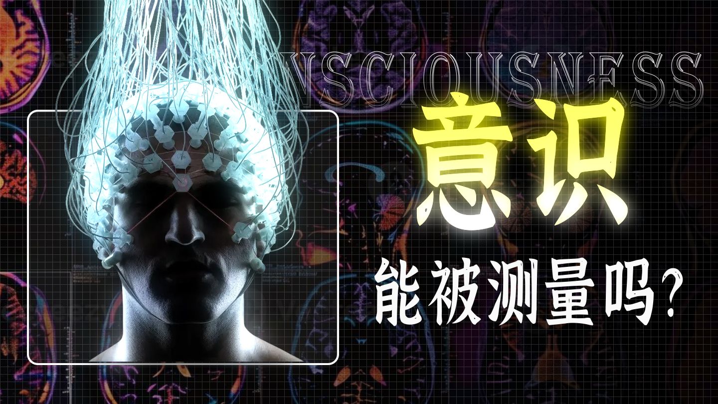 【碳基生命24】读心术成真了？科学家绘制了“念头”在脑中流转的高清地图！