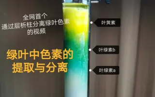 柱层析分离 搜索结果 哔哩哔哩 Bilibili