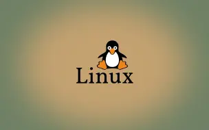 Download Video: 当Linux用户试图安装软件