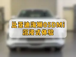 Download Video: 售价10万起？海狮05DMi沉浸式体验