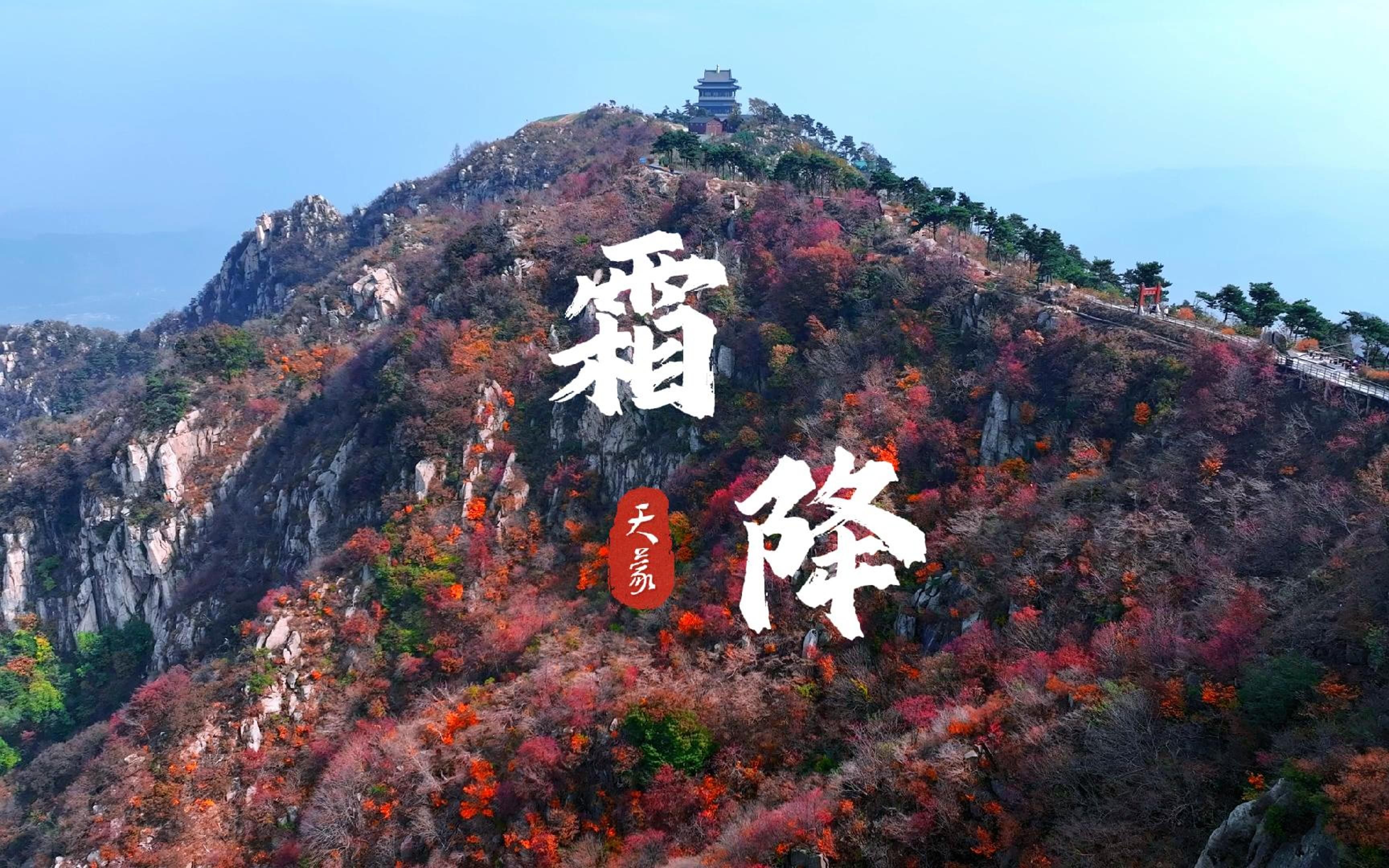 今日霜降 