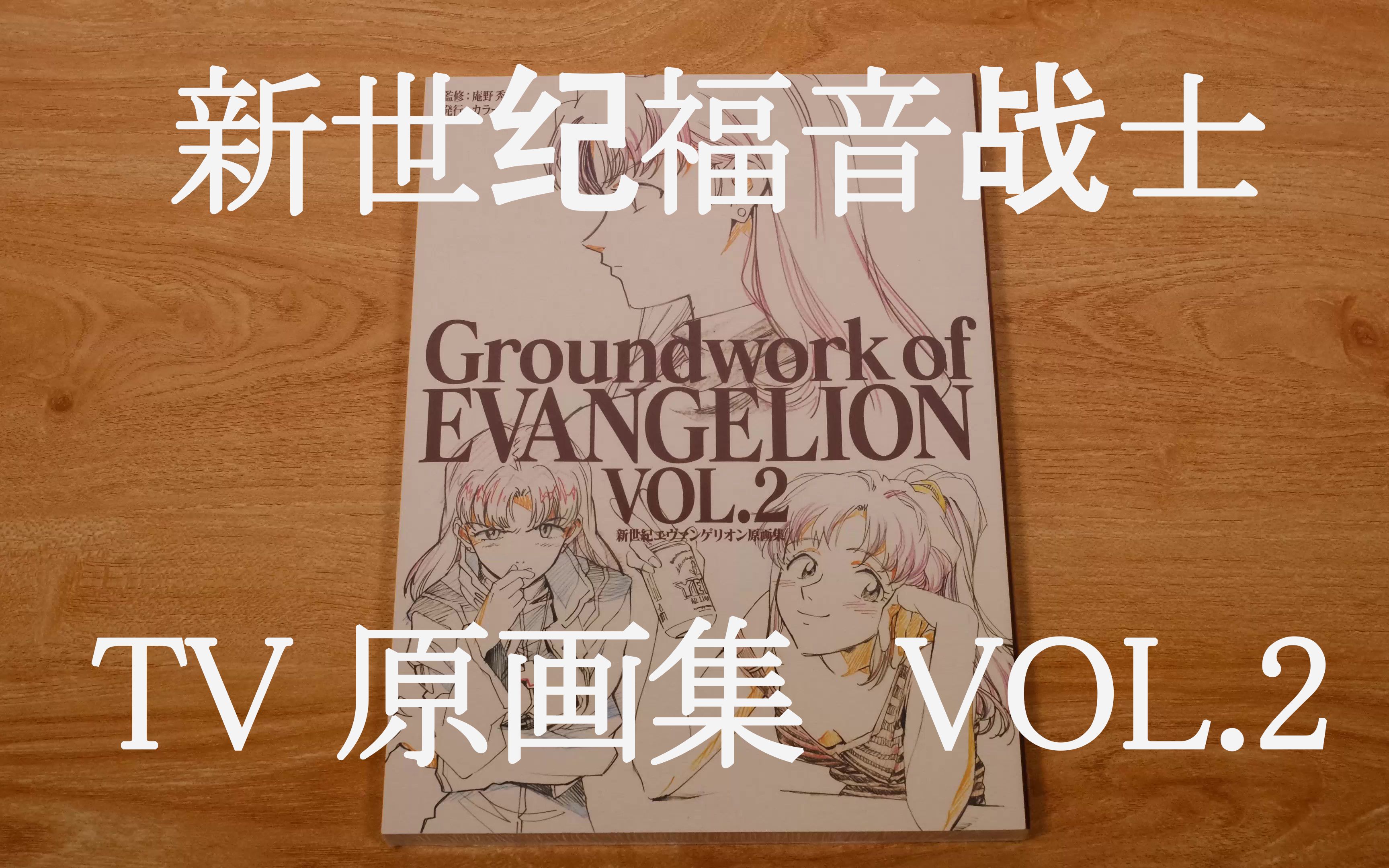 【号的zine】新世纪福音战士tv原画集vol.